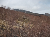 rra delle Concazze-201100508 084